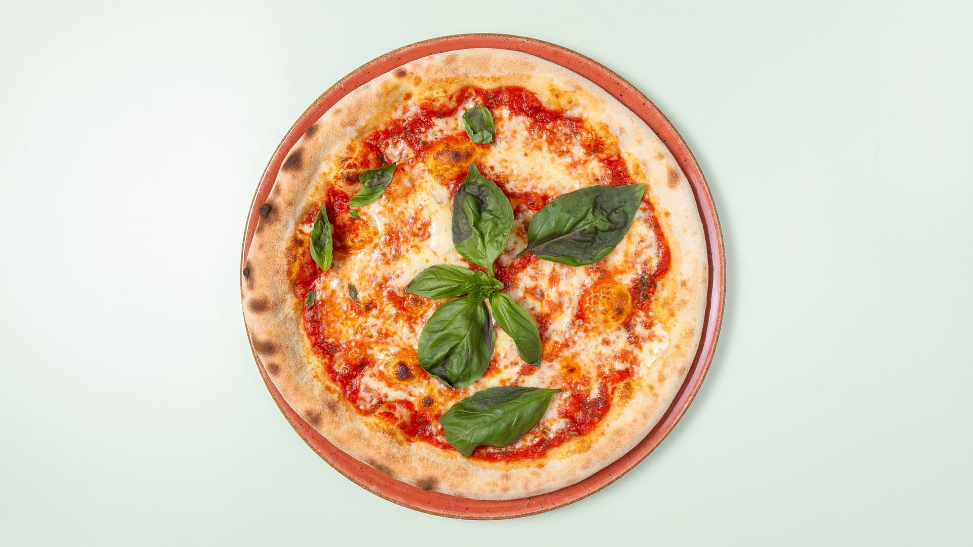 Pizza Margherita mit frischem Basilikum, italienisches Gericht des Monats
